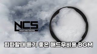 롤 피파 게임할때 듣기 좋은 NCS 브금 1시간 모음 [upl. by Anaiad359]