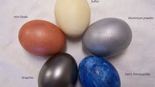 Eggs Dyed With Iron Aluminium Sulfur Graphite and Cyanide [upl. by Gnehc]