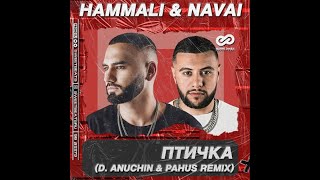 HammAli amp Navai Птичка D Anuchin amp Pahus Remix [upl. by Jinny321]