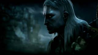 The Witcher Thomas Baginski Intro to the Game The Witcher [upl. by Annairdna]