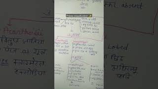 Pisces 🐟 classification in a chart bsc 3rd year zoology picses classification 🌸study ytshorts [upl. by Lertnek]