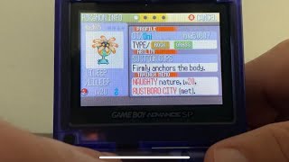 Live Shiny Lileep after 36384 SR Pokemon Sapphire [upl. by Largent166]