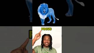 Best Optical Illusion  LION shorts relatable funny [upl. by Evannia341]