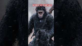 Koba or Caesar [upl. by Nede769]