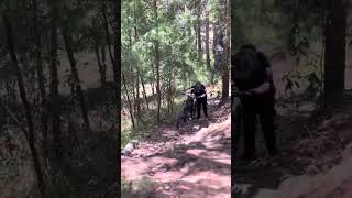 Noosa trails [upl. by Kinchen64]