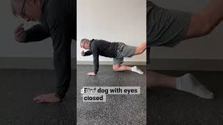 Kinesthesia enhancing eyes closed bird dog exercise ￼ [upl. by Etnovert]