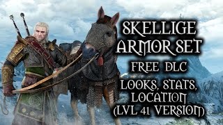 The Witcher 3 Wild Hunt  Skellige Armor Set lvl 41 version looks stats location [upl. by Steere173]