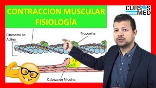 CONTRACCIÓN MUSCULAR FISIOLOGÍA GUYTON explicada FACIL ✅ [upl. by Caryn]