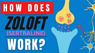 HOW DOES ZOLOFT WORK SERTRALINE MEDICATION FUNCTION EXPLAINED [upl. by Todhunter845]