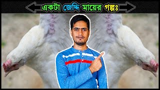 একটা জেদ্দি মায়ের গল্প 💗 Exciting story about a mother Hen ⚡ Jactok পাখি ভাইয়া [upl. by Naruq78]