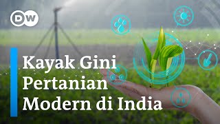 Teknologi Irigasi Modern Asal India Padukan Pertanian Tradisional dan Teknologi  DW Inovator [upl. by Tyika]