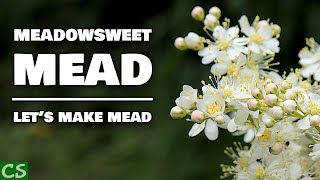 Easy Meadowsweet Mead Recipe How to Make Mead with the ORIGINAL Mead Herb [upl. by Yrtnej]