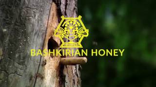 Bashkirian Honey [upl. by Oludoet]