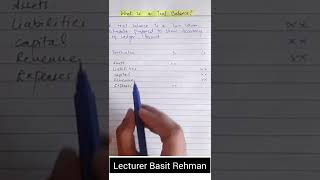 What is a Trial Balance [upl. by Eelrebmik503]