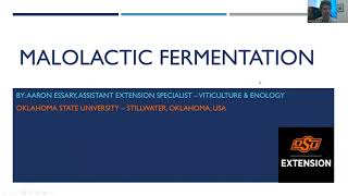 Malolactic Fermentation [upl. by Desma]