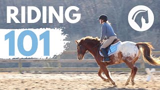 HOW TO RIDE A HORSE EASY BEGINNERS GUIDE [upl. by Okramed952]