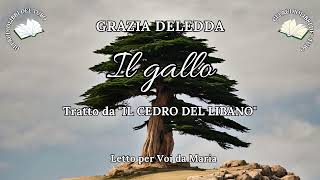 GRAZIA DELEDDA Il gallo da IL CEDRO DEL LIBANO [upl. by Mell]