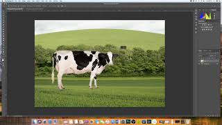 How to insert an image into another image Photoshop  EASY EXPLANATION [upl. by Erodavlas]