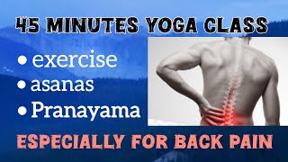 daily yoga class for back pain [upl. by Mathew]