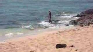 Man with Casting Net  Oahu North Shore BEACH FRONT Vacation Rental OahuNorthShoreRentalcom Hawaii [upl. by Nrojb13]