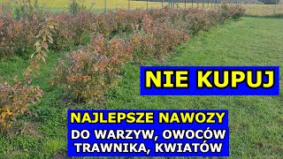 Nie Kupuj wielu Nawozów Najlepsze Nawozy pod Warzywa Trawnik Drzewa owocowe Hortensje Pomidory [upl. by Vanderhoek]