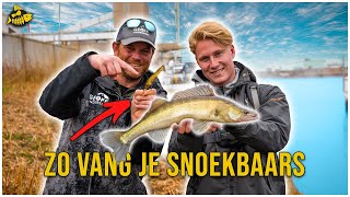 SNOEKBAARS VANAF DE KANT OP HET TWENTEKANAAL  Met twitchbaits shads amp tubes [upl. by Myron]