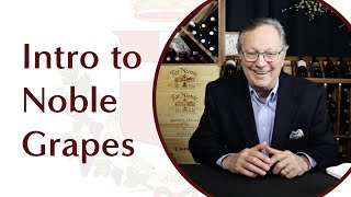 Top Wines in the World  Noble Grapes  Introduction [upl. by Arreic]