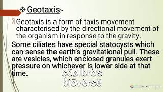 Positive geotaxis and negative phototaxis [upl. by Tini]