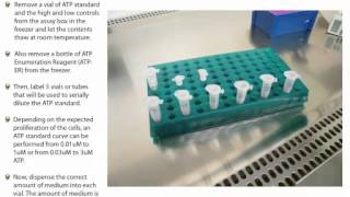 Setting Up the ATP Standard Curve and Controls for all HemoGenixPCS ATP Bioluminescence Assays [upl. by Eigroeg]