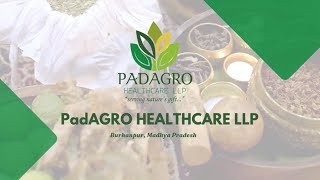 PadAGRO HEALTHCARE LLP  Company Profile [upl. by Jump]