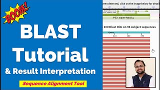 What is BLAST  Tutorial amp Interpretation [upl. by Duky]