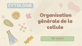 Cytologie  Organisation générale de la cellule  cours de 1er année medecine [upl. by Marge]