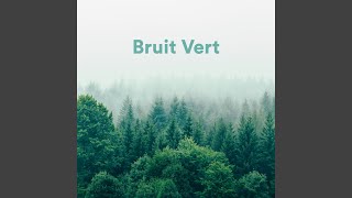 Bruit Vert Pour Dormir [upl. by Schaab]