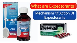 What Are Expectorants And Mechanism Of Action Of Expectorants Shorts [upl. by Lateh]