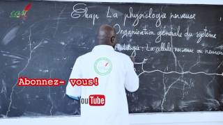 Cours  Terminale  SVT  La Physiologie nerveuse suite 2 [upl. by Sitto451]