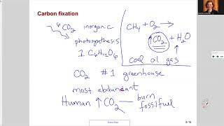 181 Ch7 Carbon fixation and Photorespiration [upl. by Ursa808]