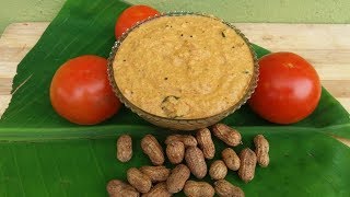 Village Style PEANUTTOMATO Chutney Recipe for IdlyDosa  Food Money Food [upl. by Evelinn]