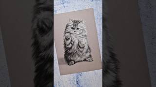 Pastel animal portraits art pastel pastelart pastelanimals animalism cat commission realism [upl. by Sayre]