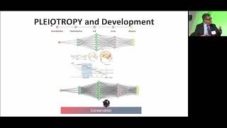 Panel 2 Emerging Science and Innovation for Therapies [upl. by Files131]