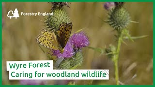 Caring for wildlife in Wyre Forest [upl. by Nyrrad]