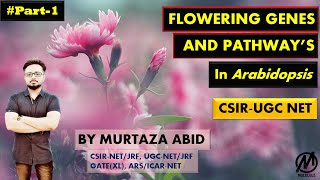 Flower Development Genes And Pathways in Arabidopsis thaliana  CSIRNET ICMR DBT Gate MSc [upl. by Phaedra]