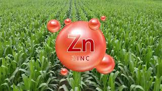 Zinc Sulphate 33  Hindi [upl. by Eednam]