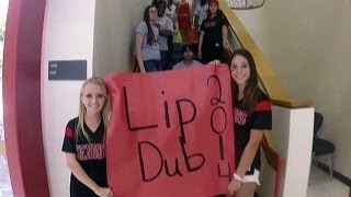 Bloomingdale High School Class of 2014 Lipdub [upl. by Nnylannej]