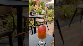 Nusa Tropical Brewvilla Gunjur Bangalore  Best Brewery Pubs in Bengaluru [upl. by Ardnuat]