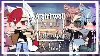 ✨A girl wolf In ALL male alpha School✨  GLMM  Gacha life Mini movie [upl. by Olatha]