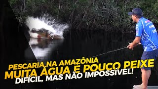 Muita água e pouco peixe Difícil mas não impossível [upl. by Revkah]