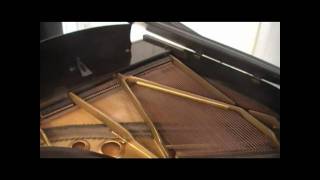 Aeolian Baby Grand Piano [upl. by Dnaltroc]