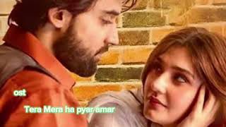 song Tera Mera ha pyar amar [upl. by Nickolas]