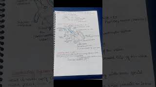 Class 11 Biology ➡️chapter  body fluids and circulation ✅️ handwritten notes 📝👍🏻 Ncert class11th [upl. by Rednazxela]