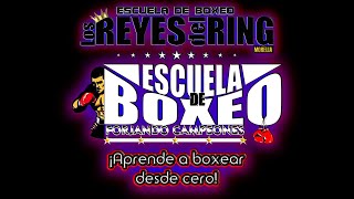 ESCUELA DE BOXEO LOS REYES DEL RING MORELIA matutino y vespertino [upl. by Karalee868]